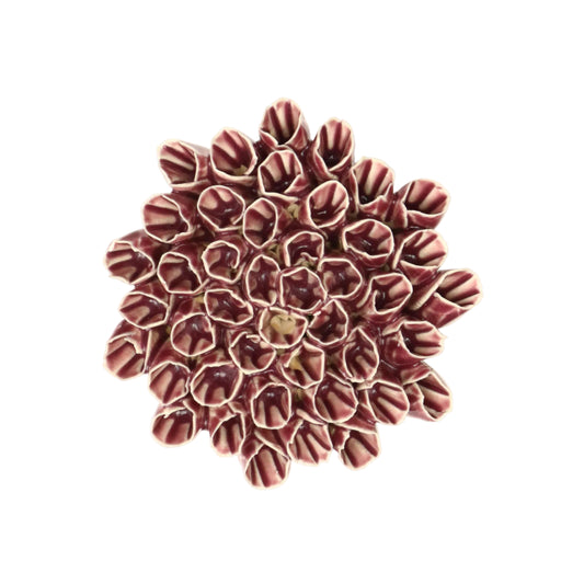 Velvet Anemone