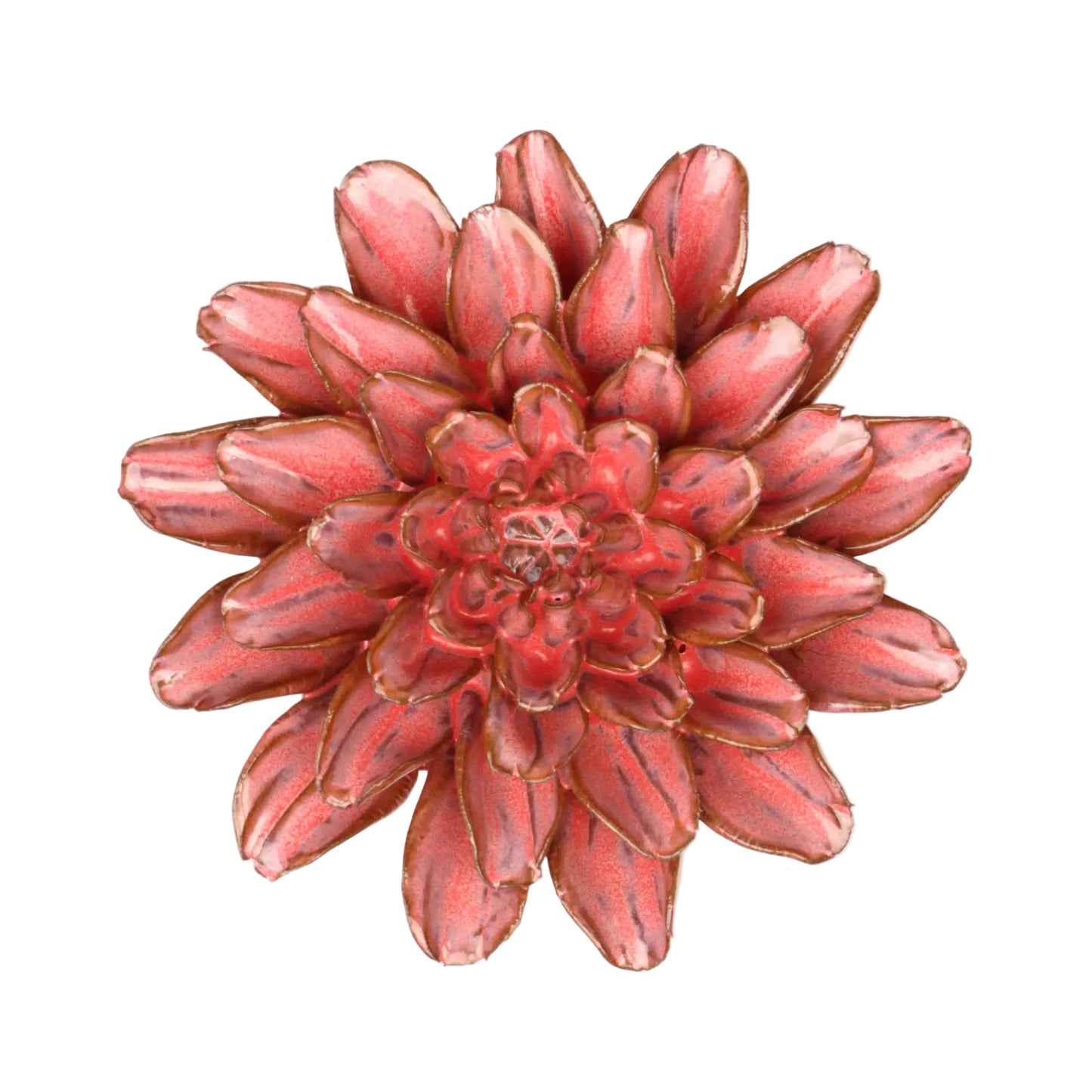 Amaranth Dahlia