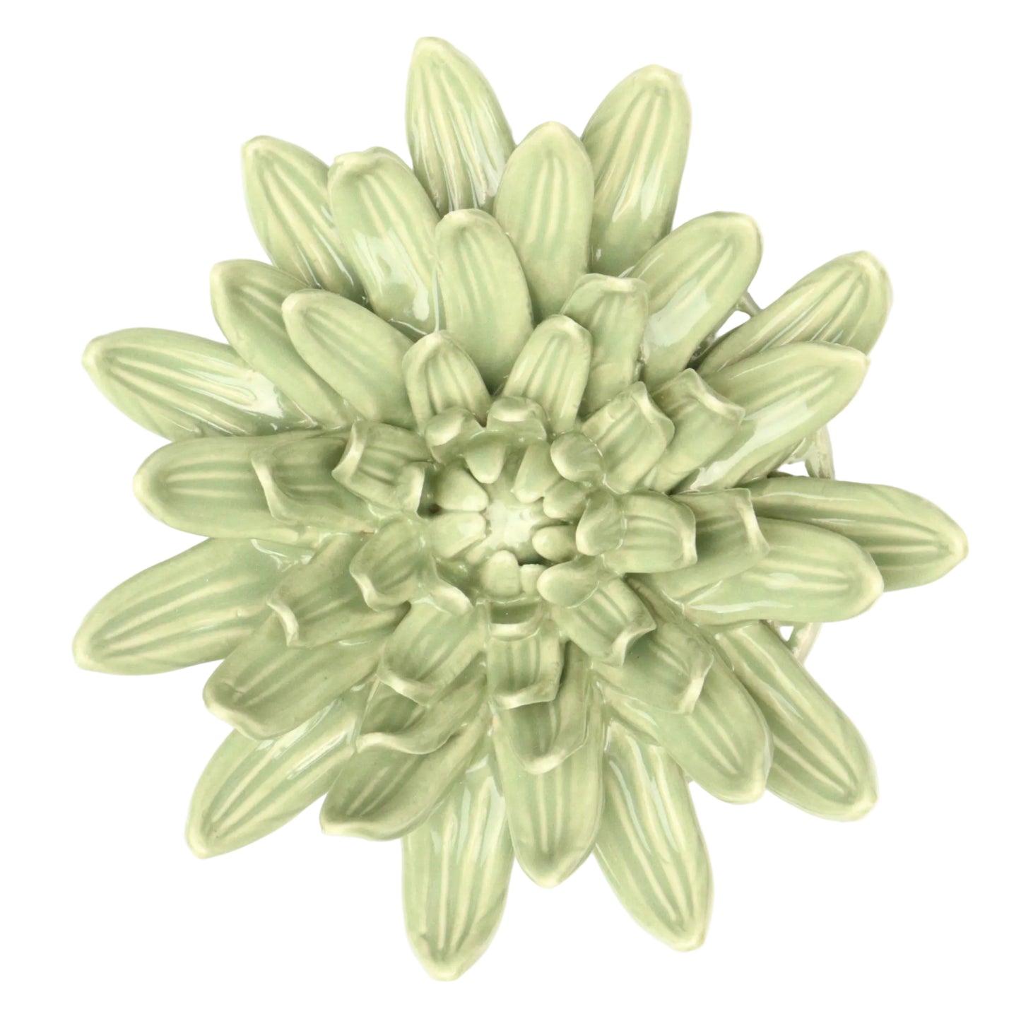 Sage Chrysanthemum
