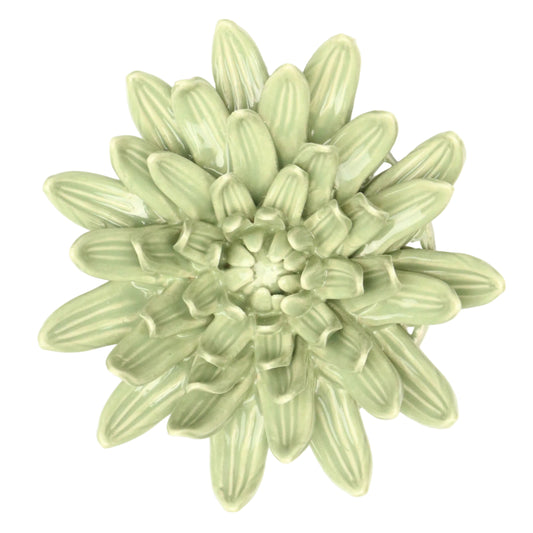 Sage Chrysanthemum