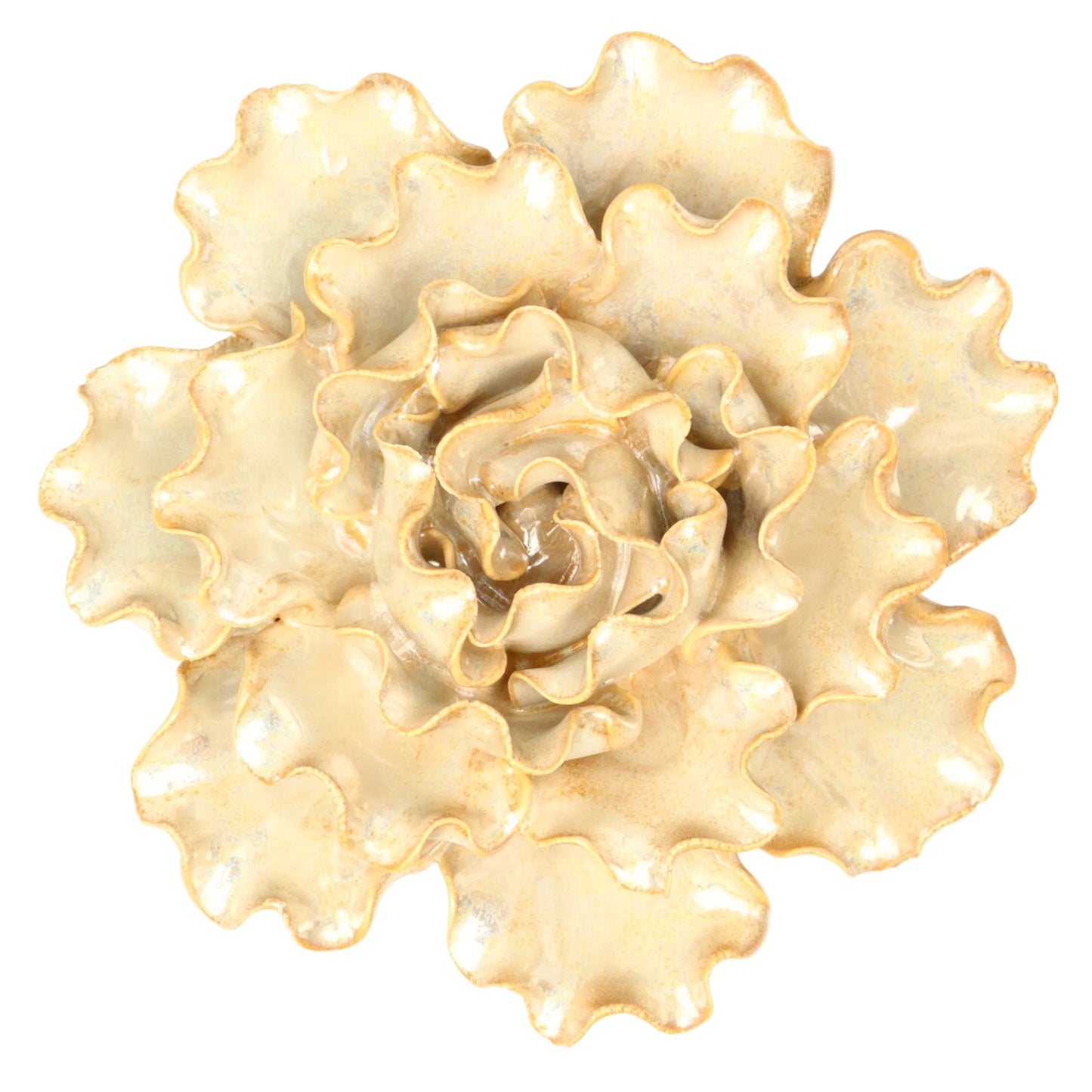 Pearlescent Cabbage