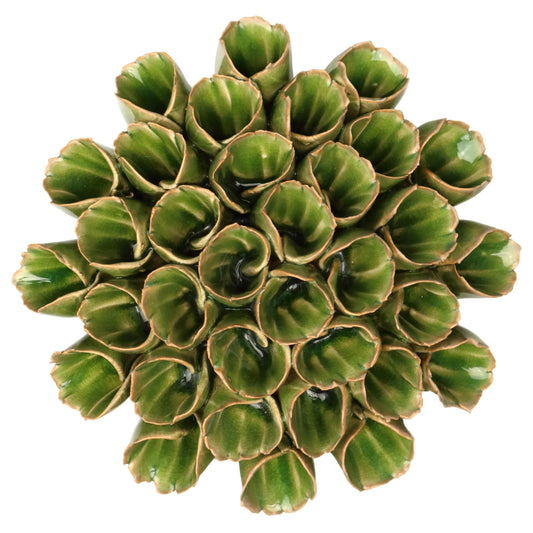 Olive Anemone