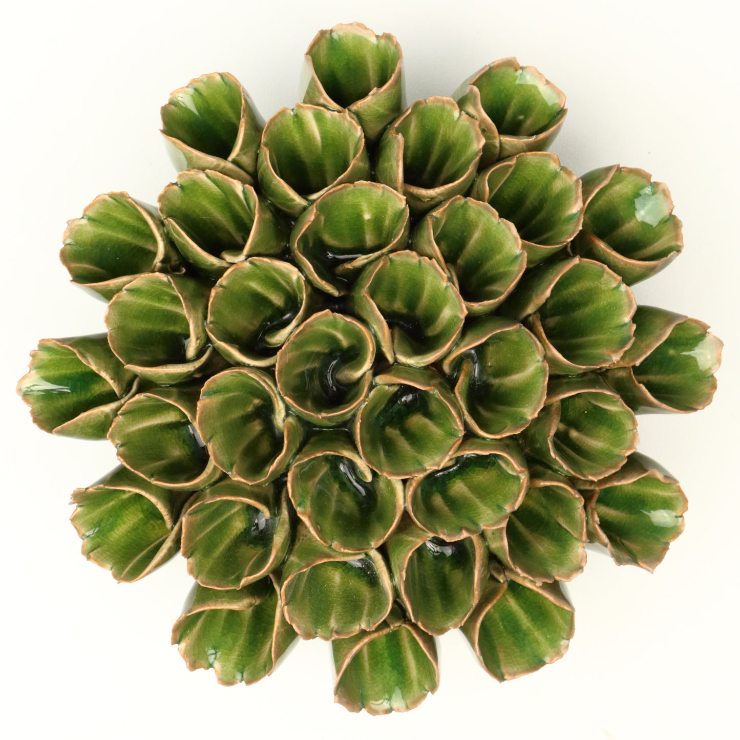 Green Coral