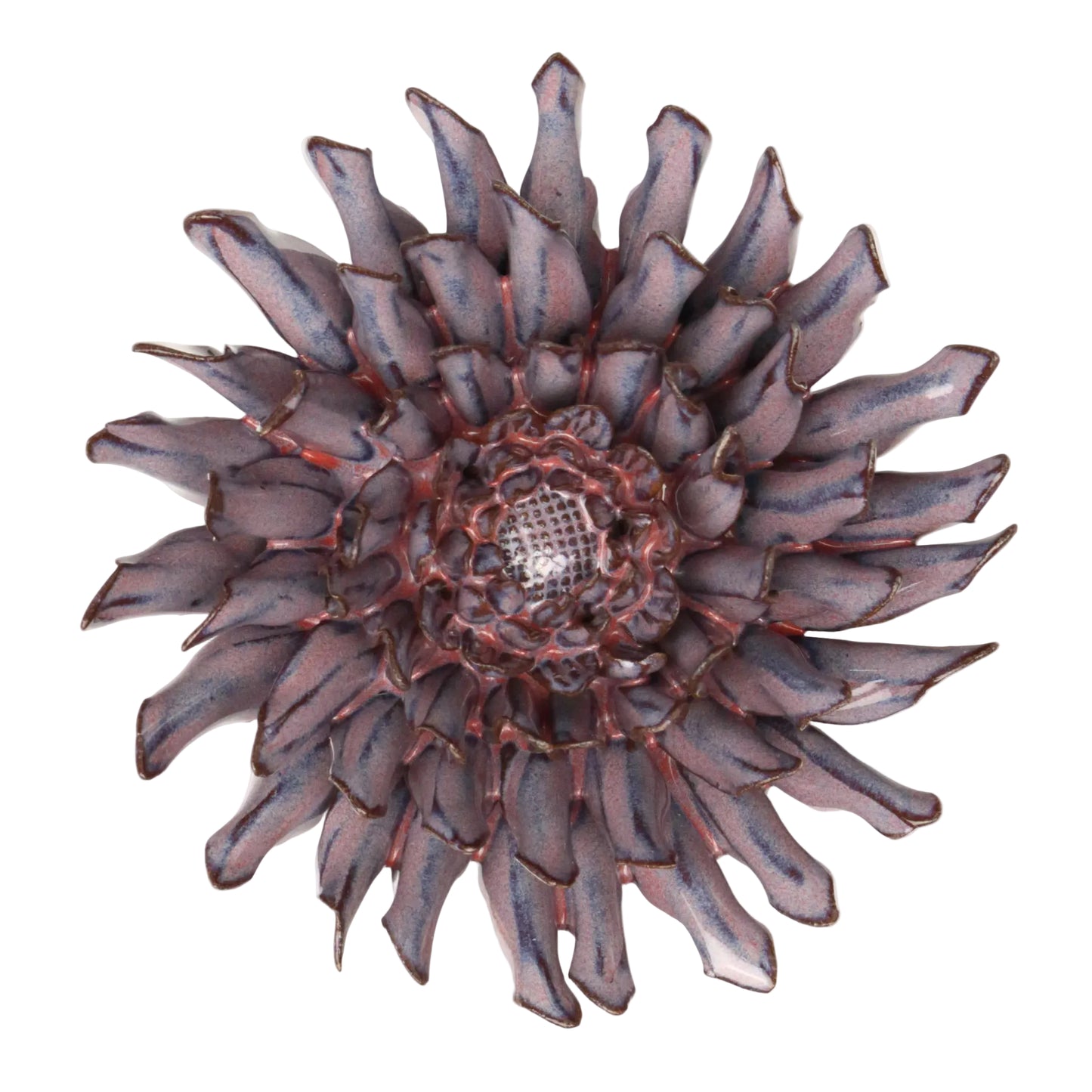 Purple Haze Daisy
