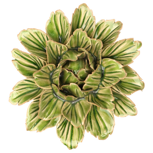Fern Peony