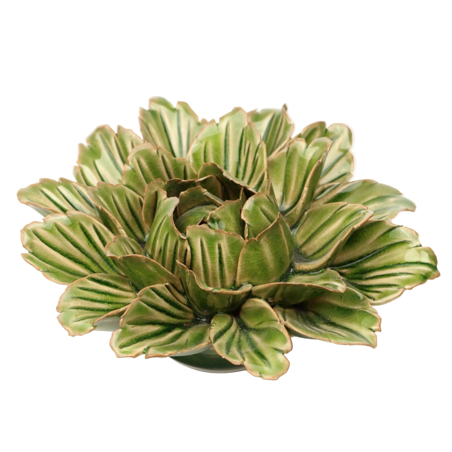 Fern Peony
