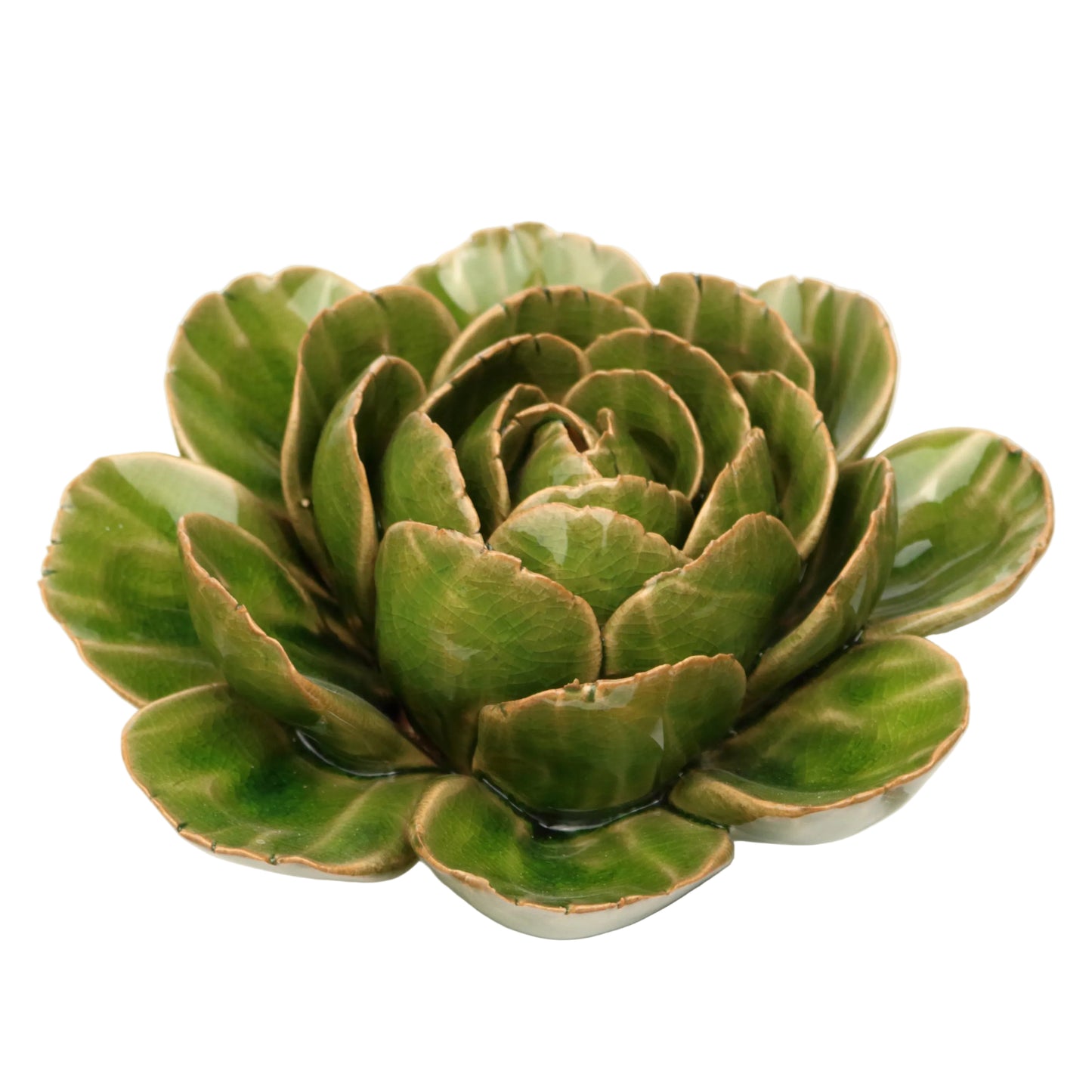 Palm Green Peony
