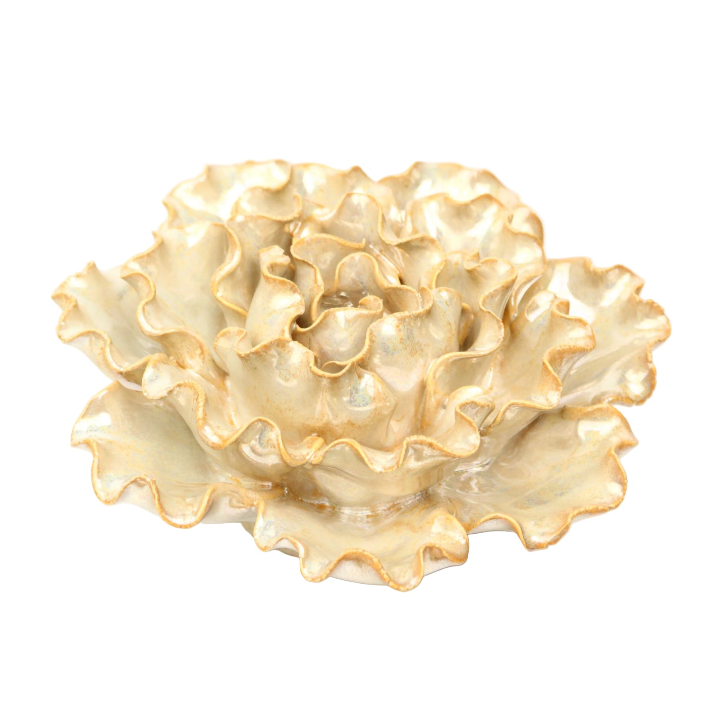 Pearlescent Cabbage