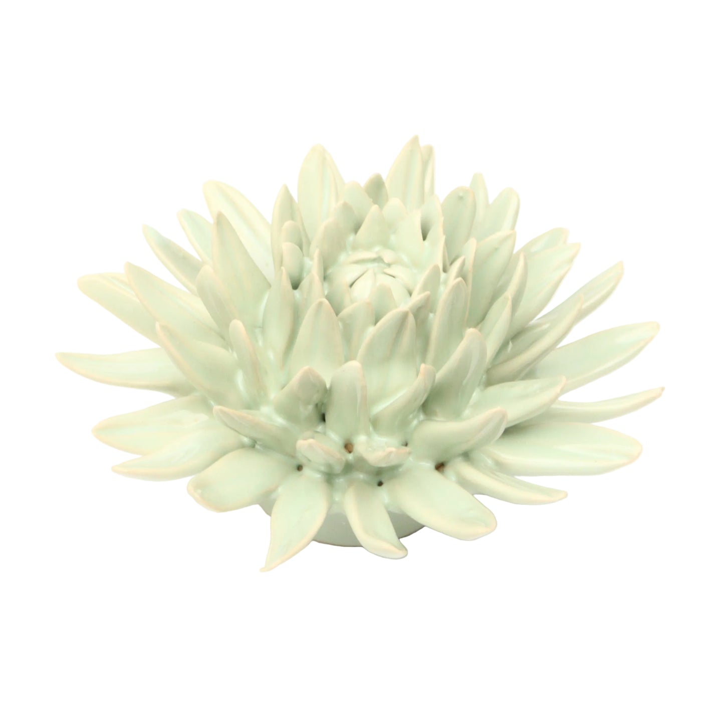 Sage Spider Chrysanthemum