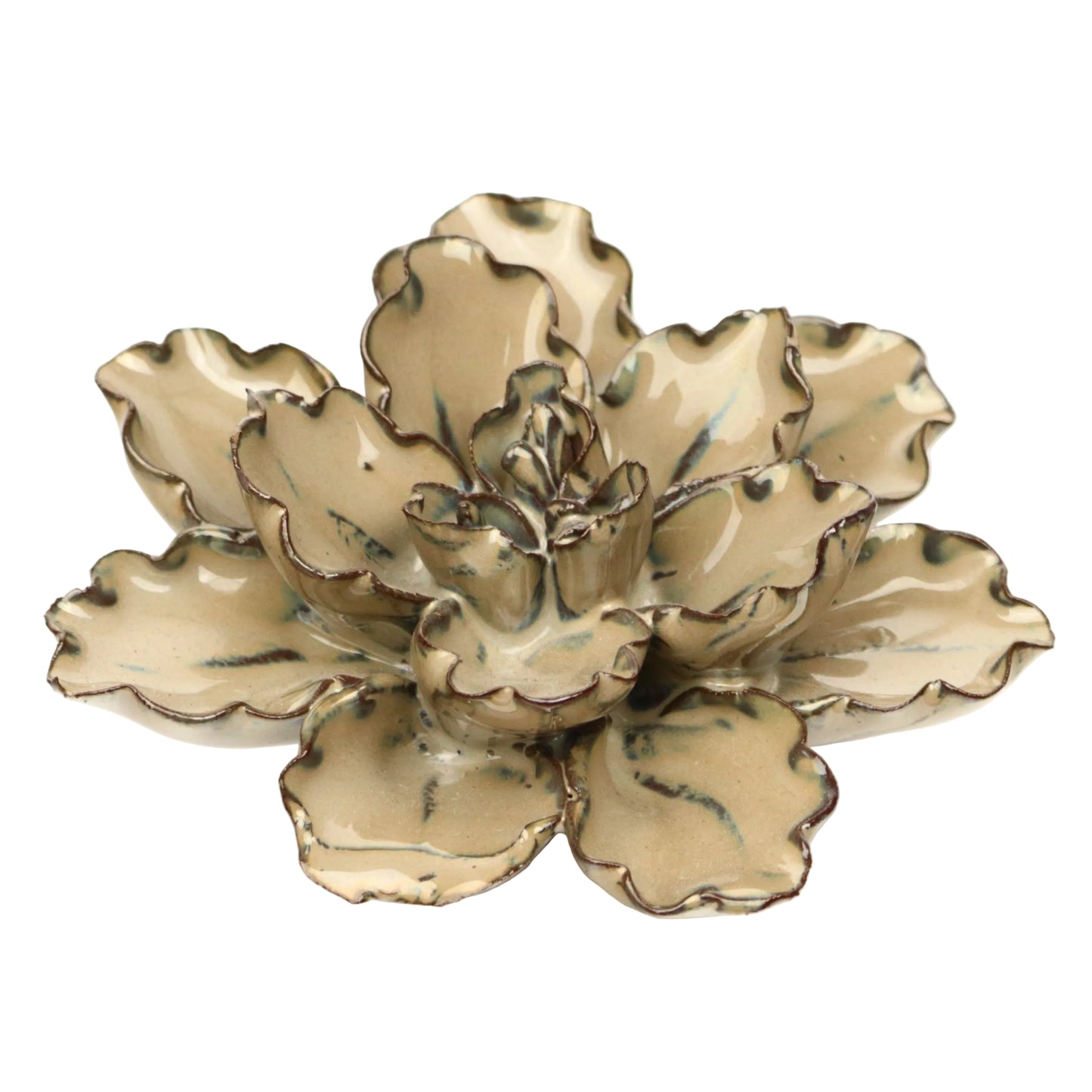 Oat Daffodil