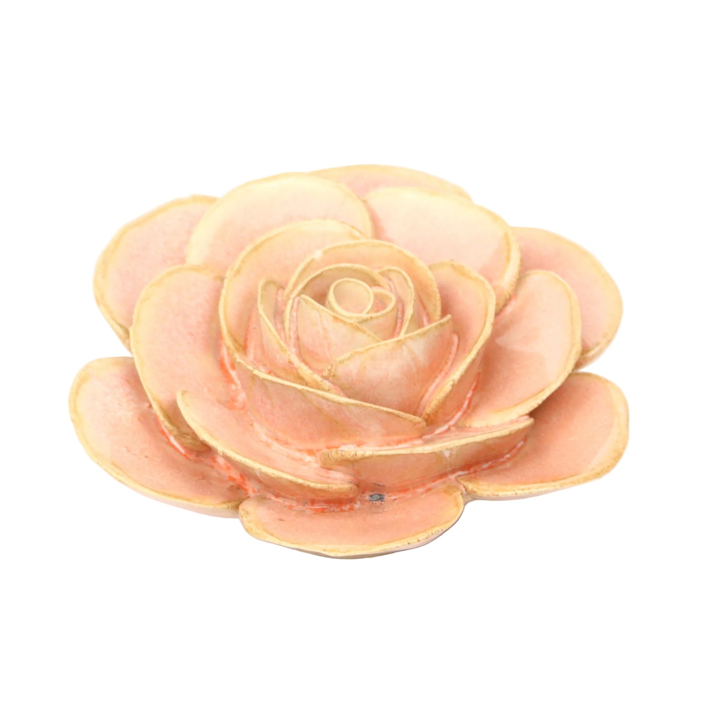 Summer Blush Ranunculus