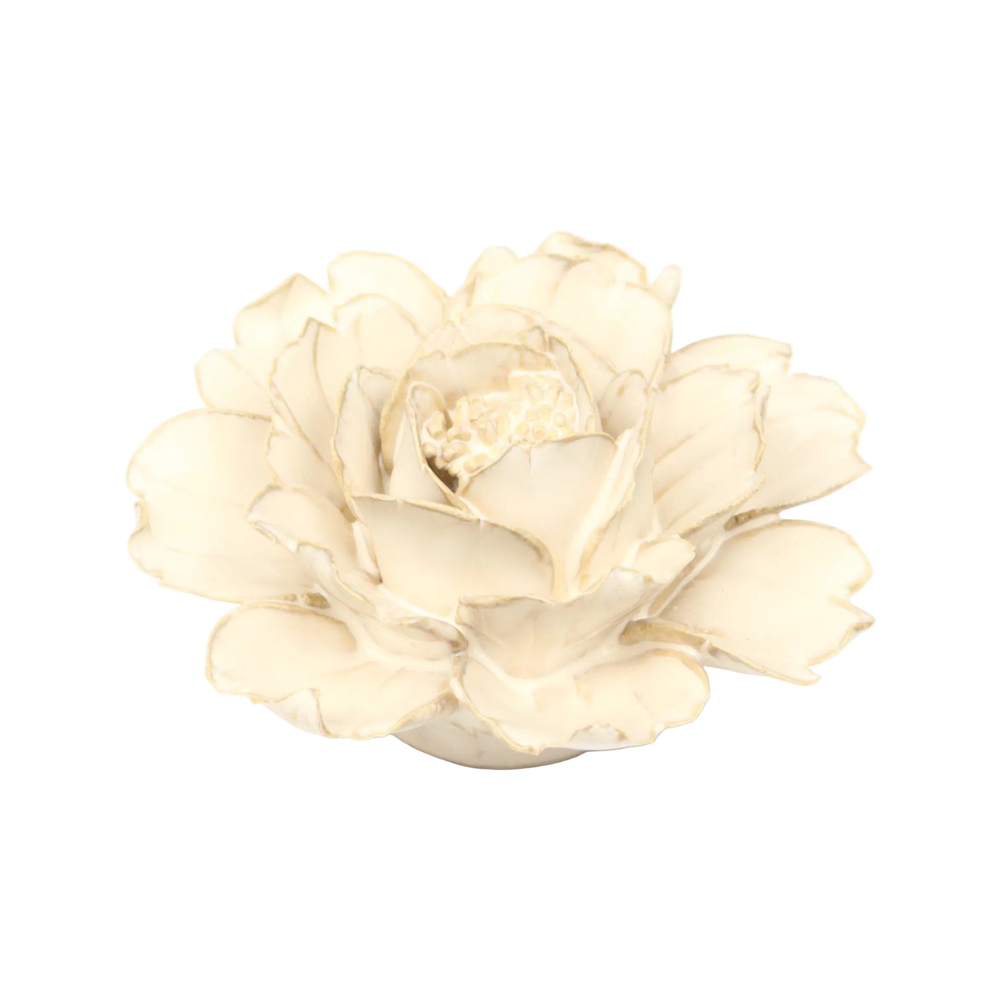 Ivory Rose