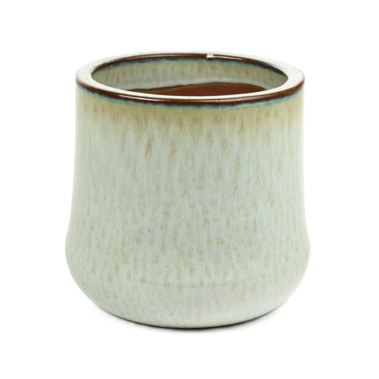 Tulip Sage Green Pot Small