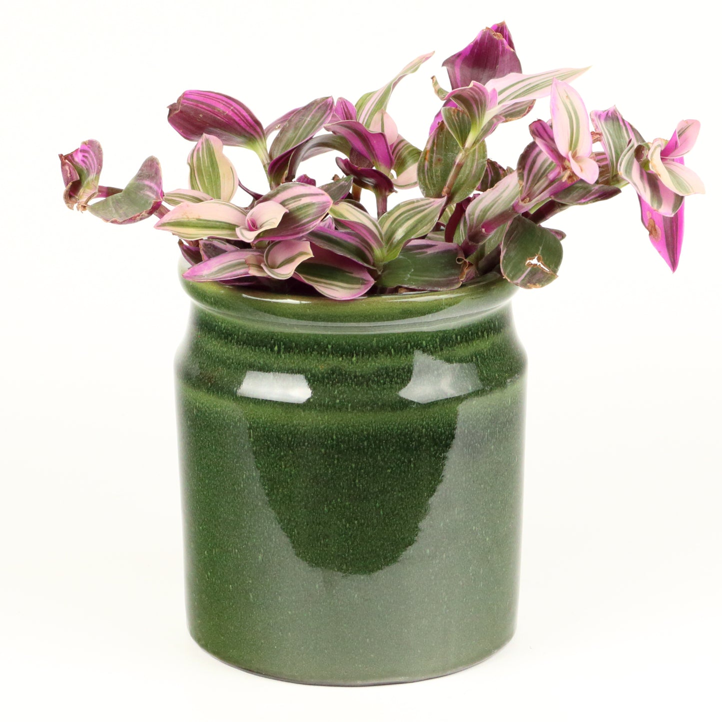 Retro Green Pot Small