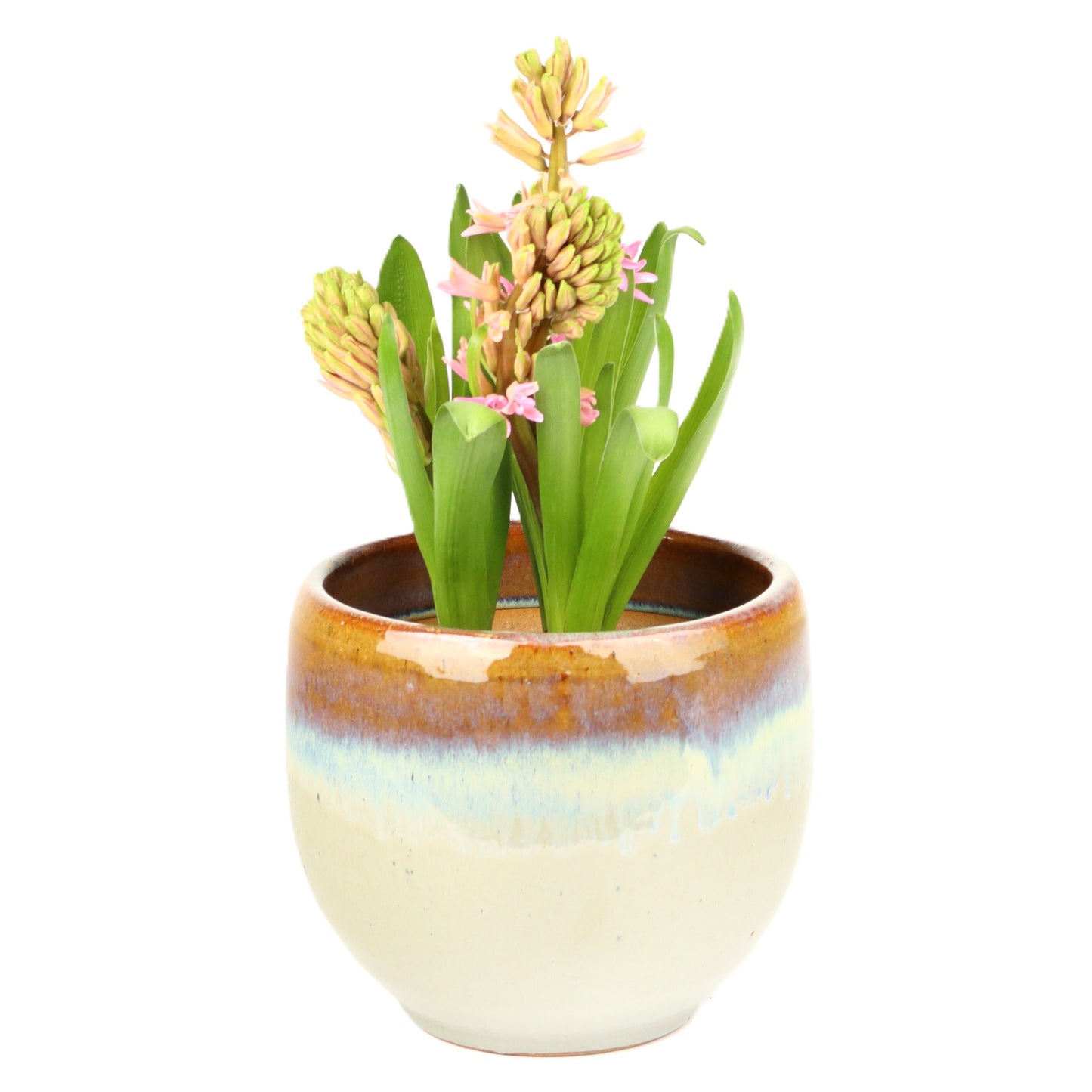 Milky Bell Pot