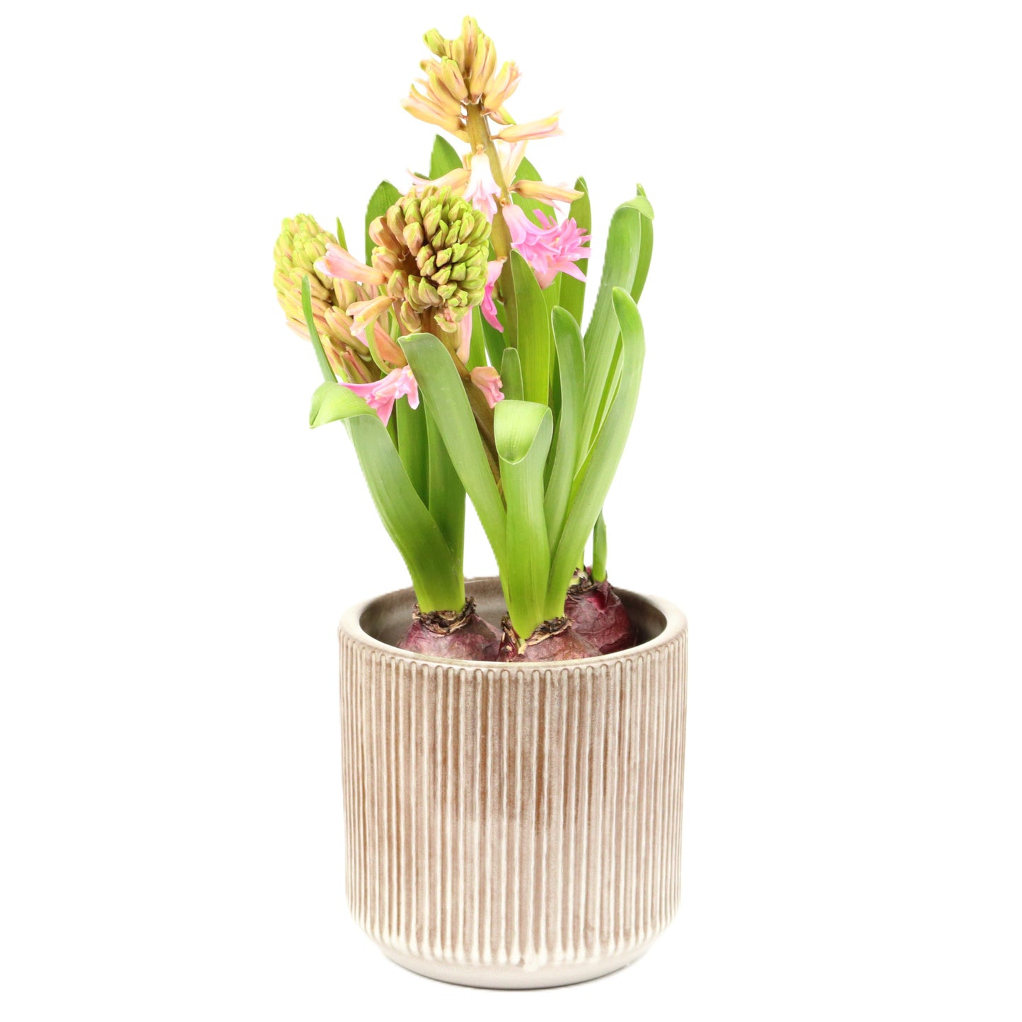 Taupe Grey Cylinder Pot Small