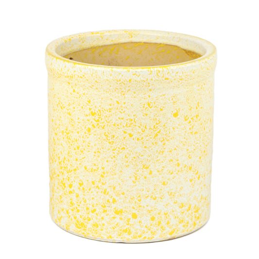 Lemon Gecko Cylinder