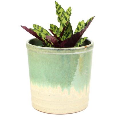 Teal Cream Pot Small