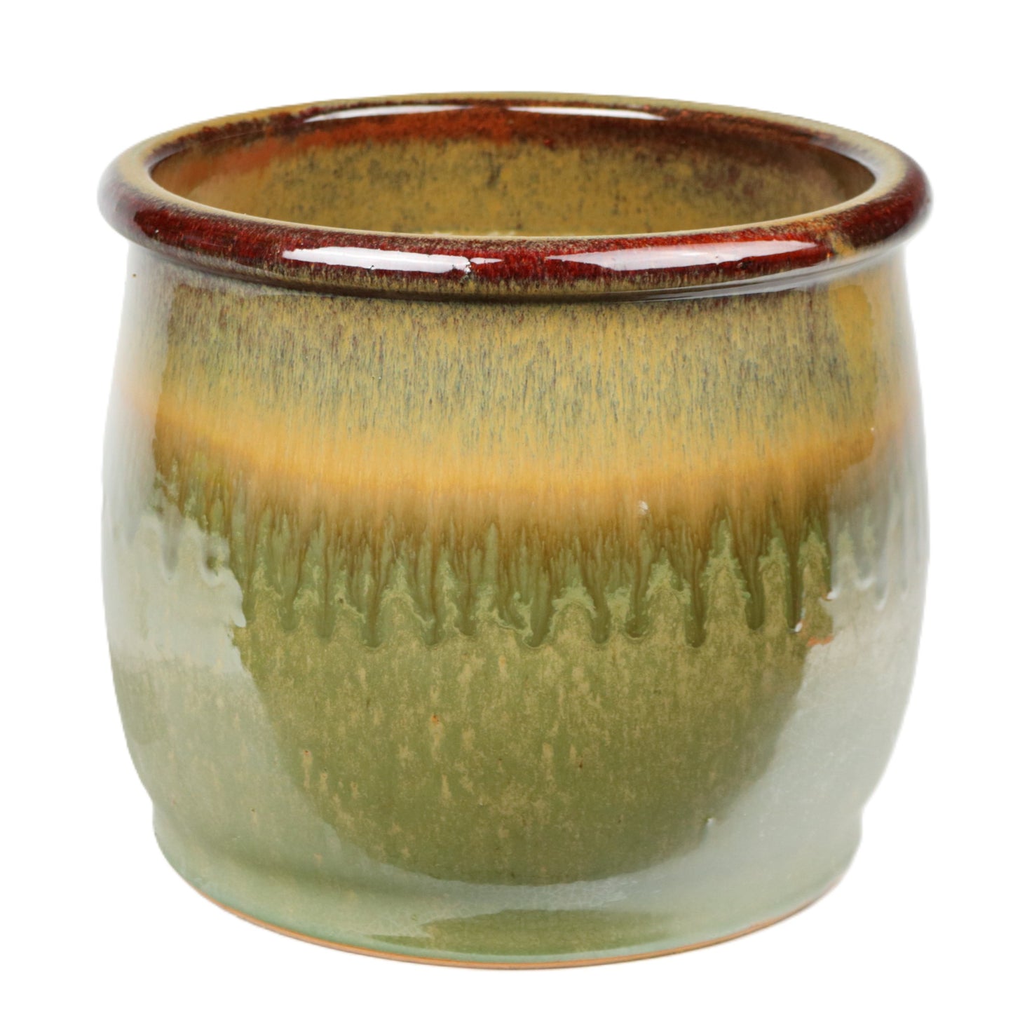 Tulip Pot Green Medium