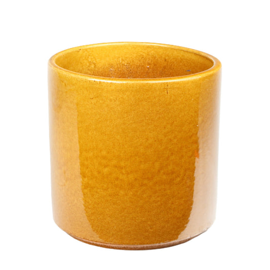 Mustard Pot Small