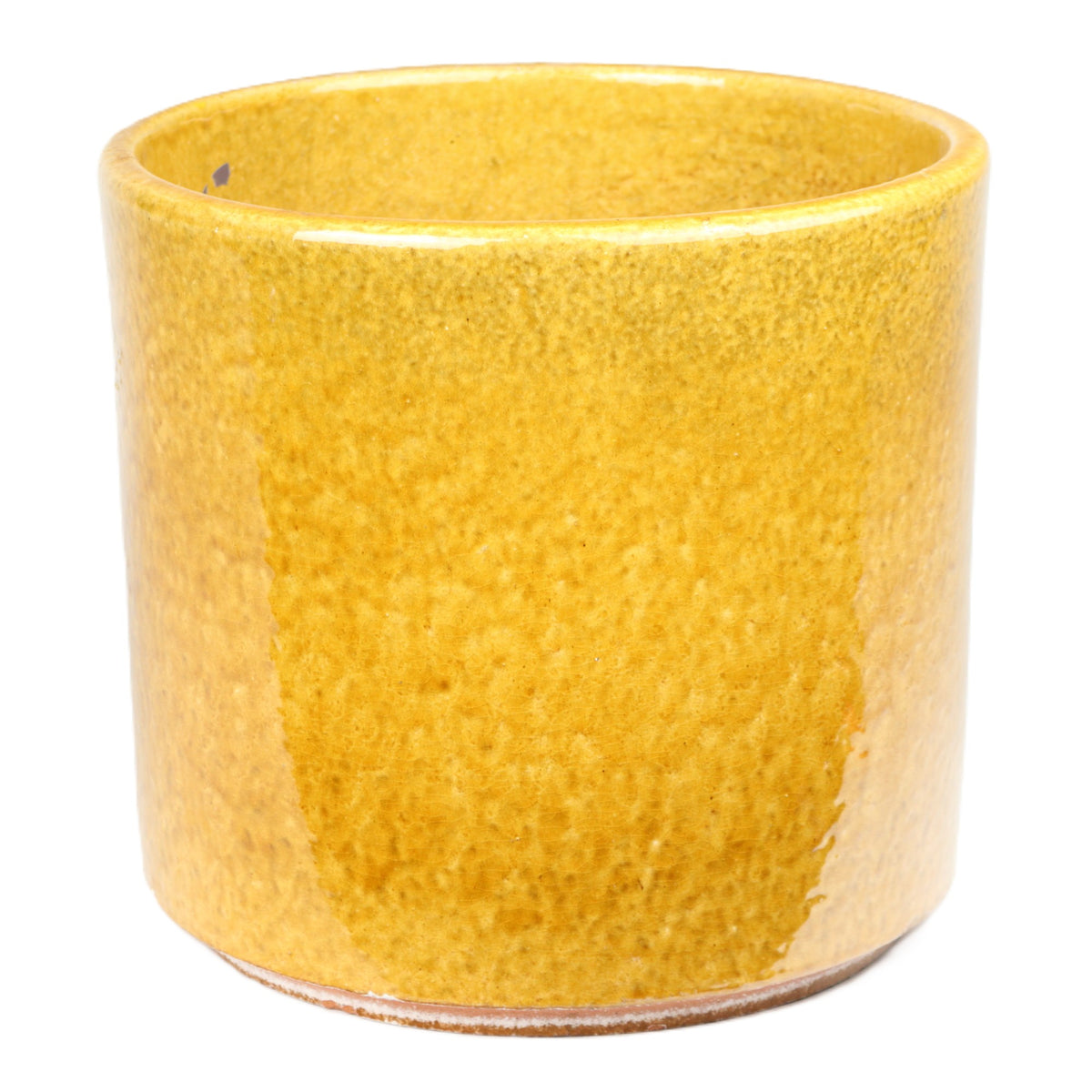Mustard Pot Large