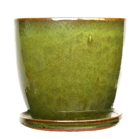 Pot and Saucer Olive