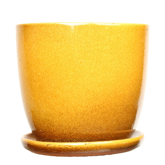Pot and Saucer Yellow