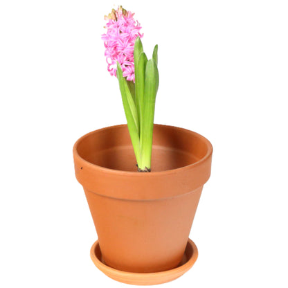 Terracotta Pot 19cm