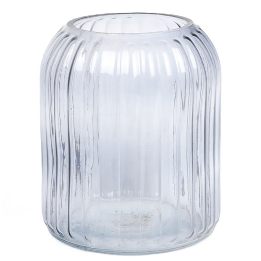 Hoary Ribbed Cylinder
