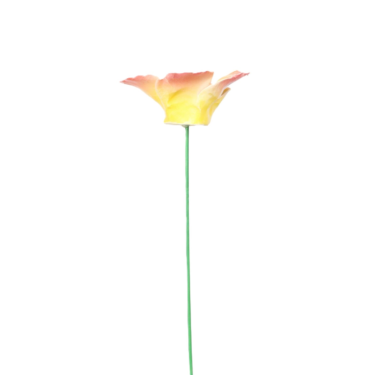 Sunrise Porcelain Cosmos Stake