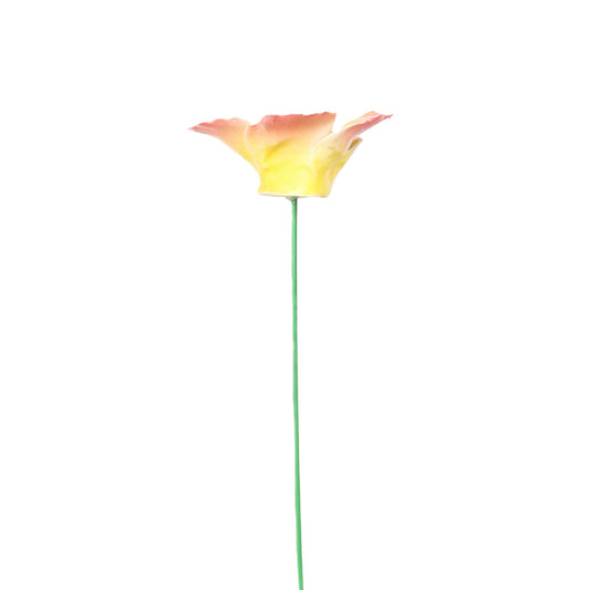 Sunrise Porcelain Cosmos Stake