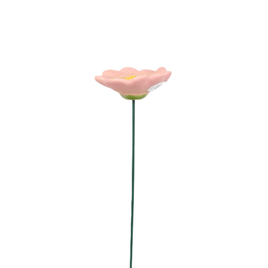 Blush Terracotta Flat Daisy Stake