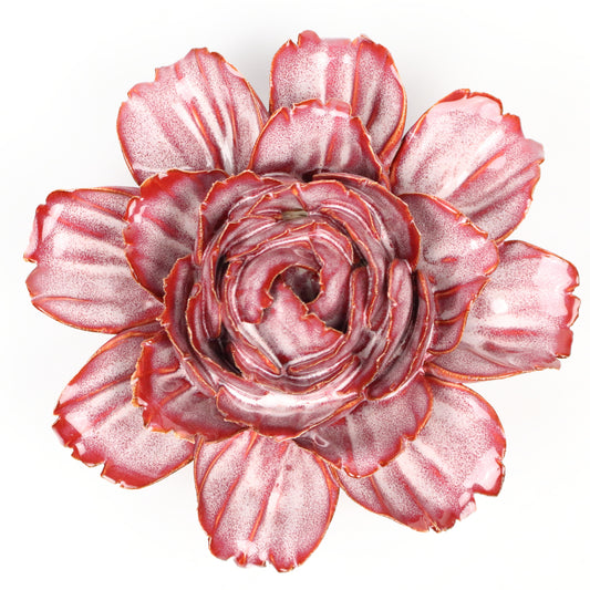 Red Velvet Peony