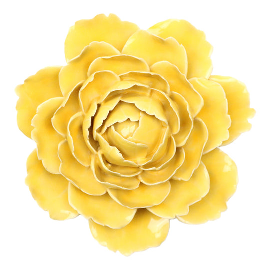Honey Gay Paree Peony