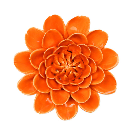Orange Marigold
