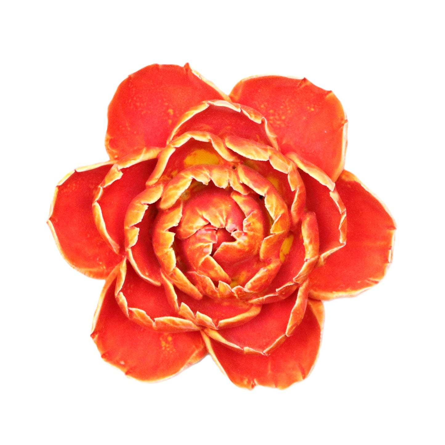 Fiery Gay Paree Peony
