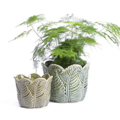 Fern Frond Flowerpot Small